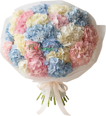 Букет из разноцветных гортензий «Облачная нежность»